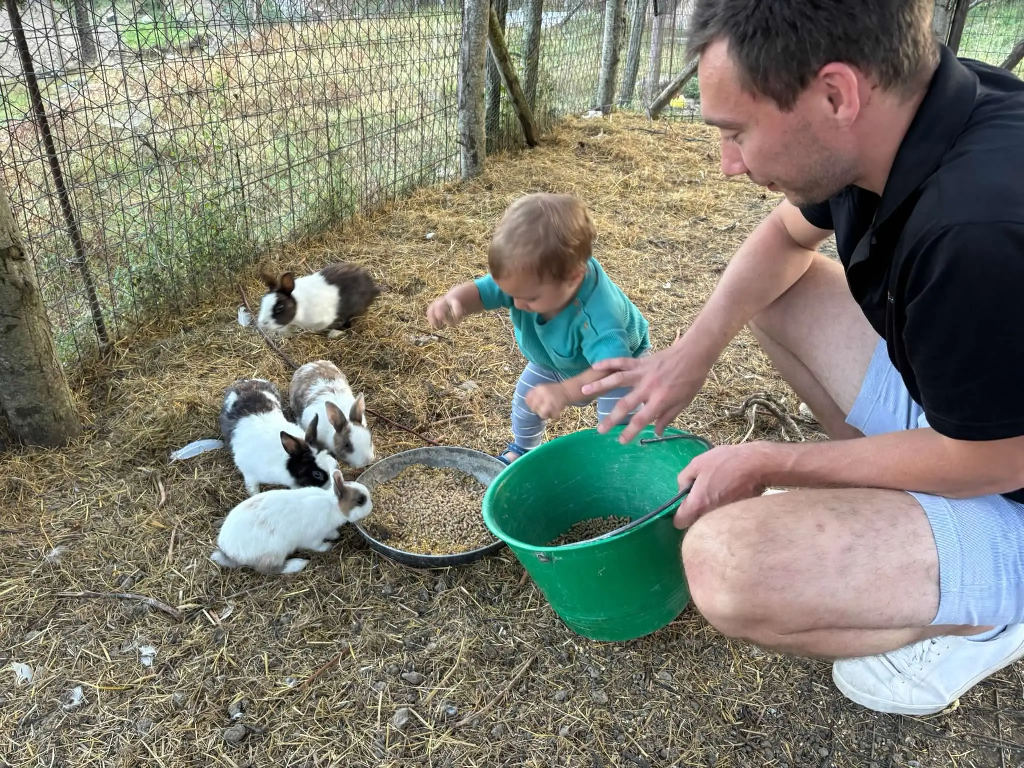 The author's son enjoys feeding some bunnies while in the Dolomites.