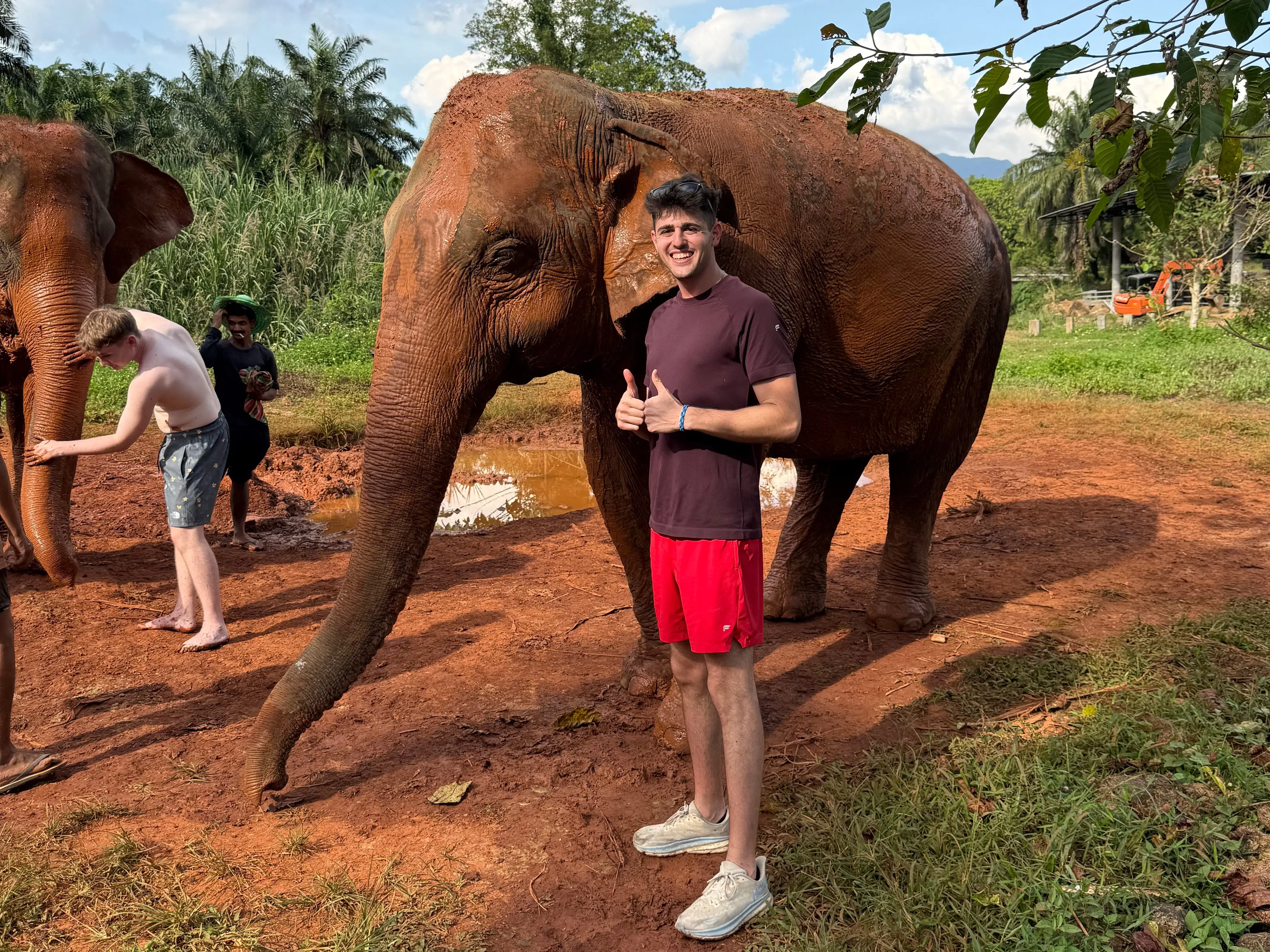Man smiling with elephant
