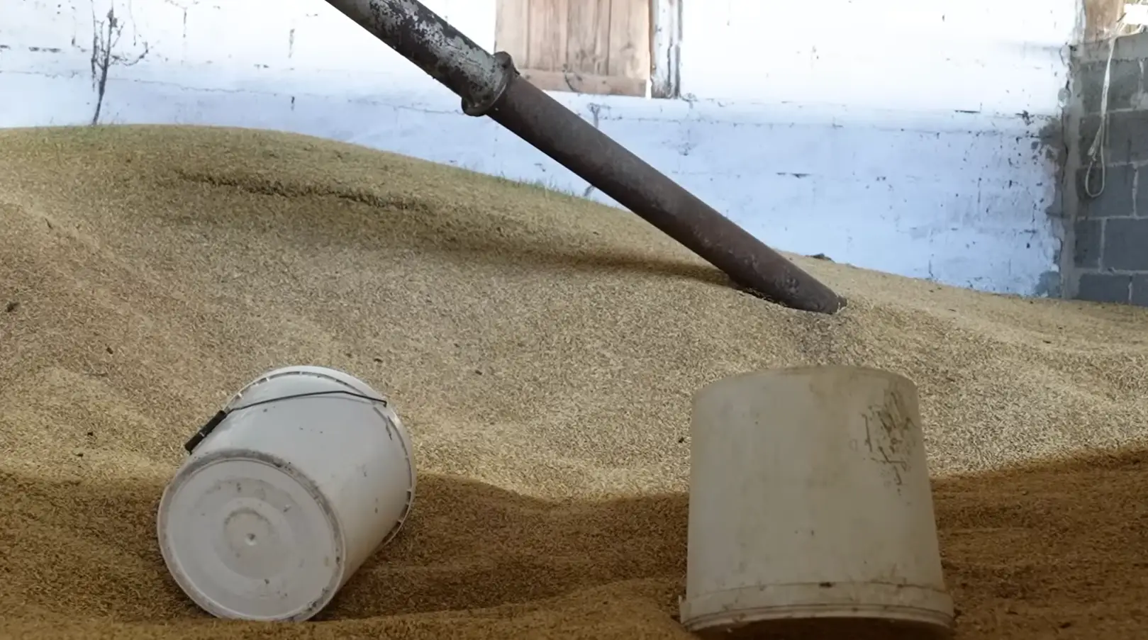Gallons of commercial feed not being used on a Greek farm that had to cull all of its sheep.