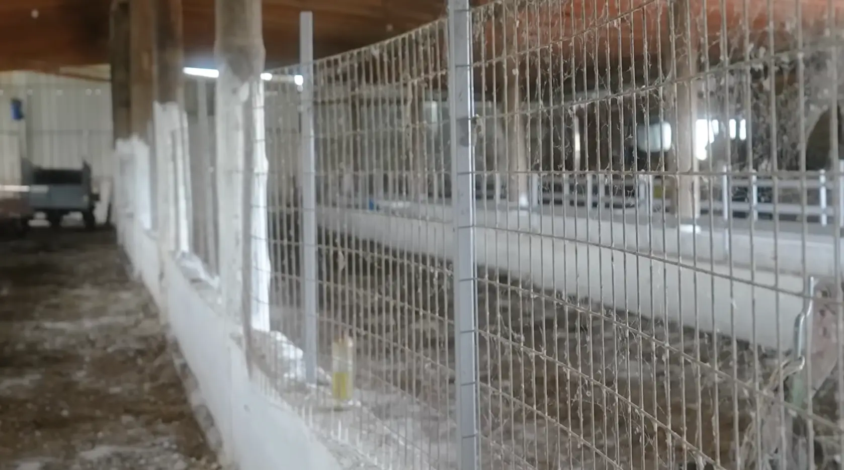An empty sheep farm in Greece with cobwebs on the cages due to lack of use.