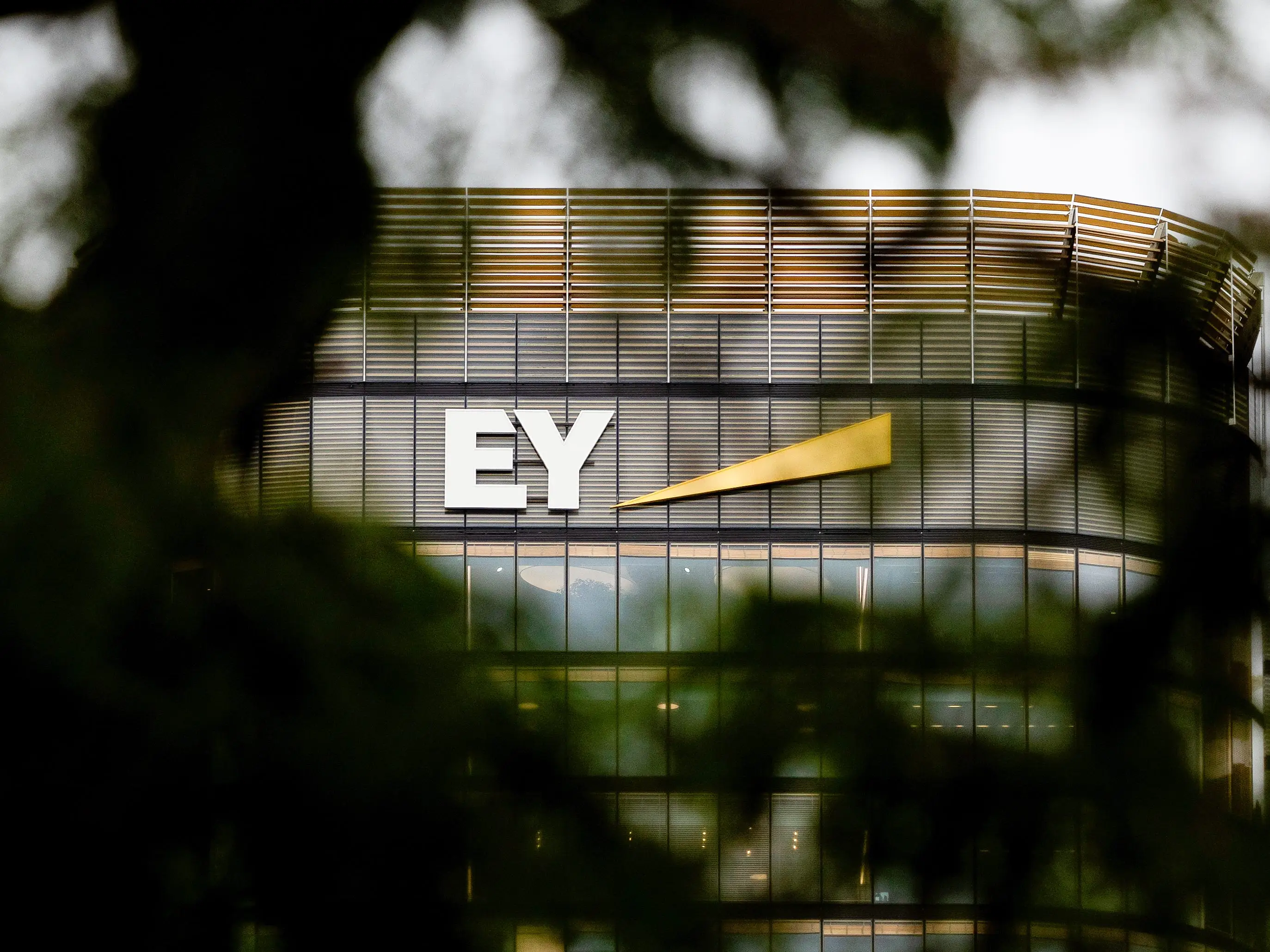 EY office