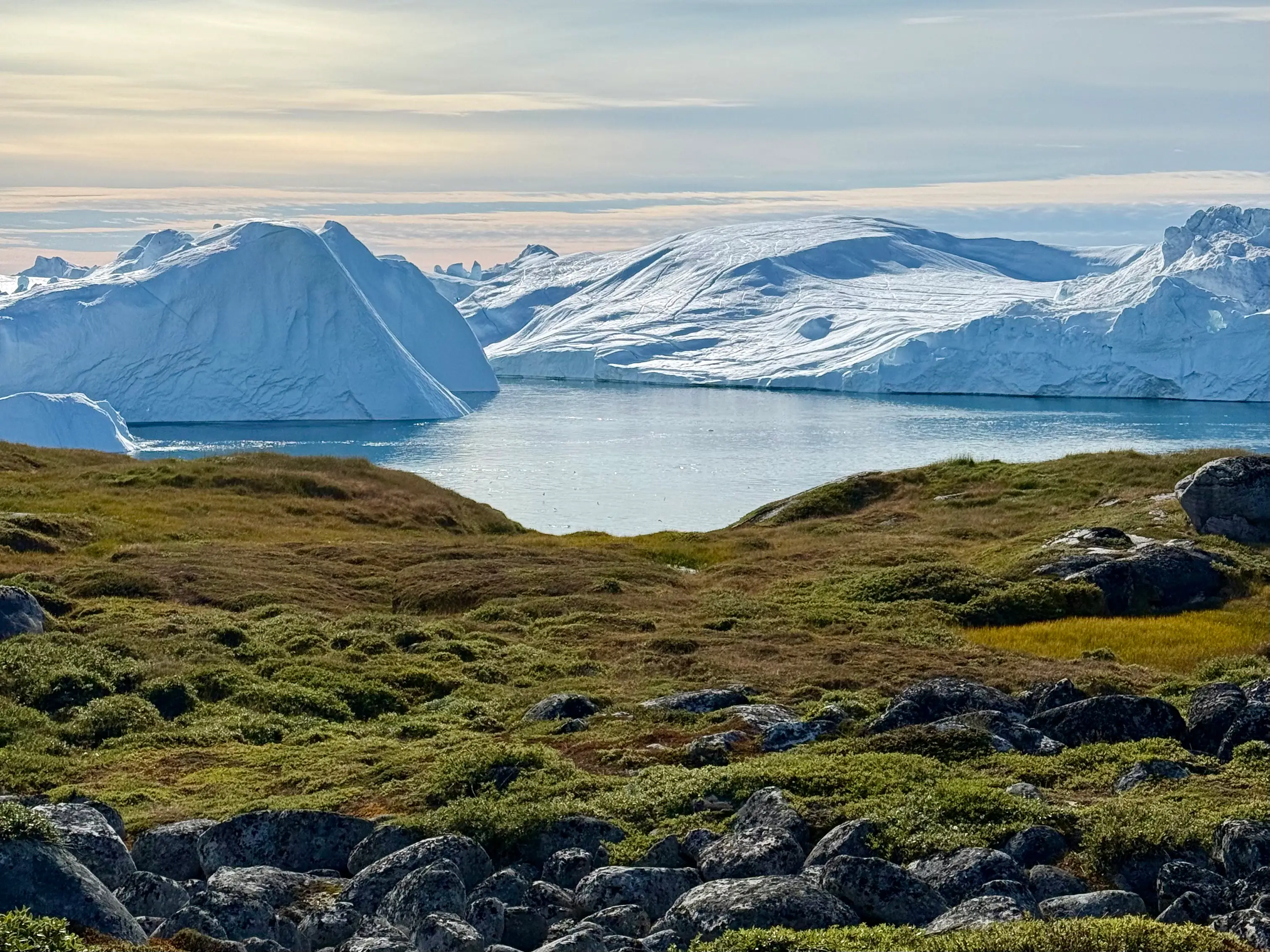A grassy, rocky landscape with icebergs in the background.