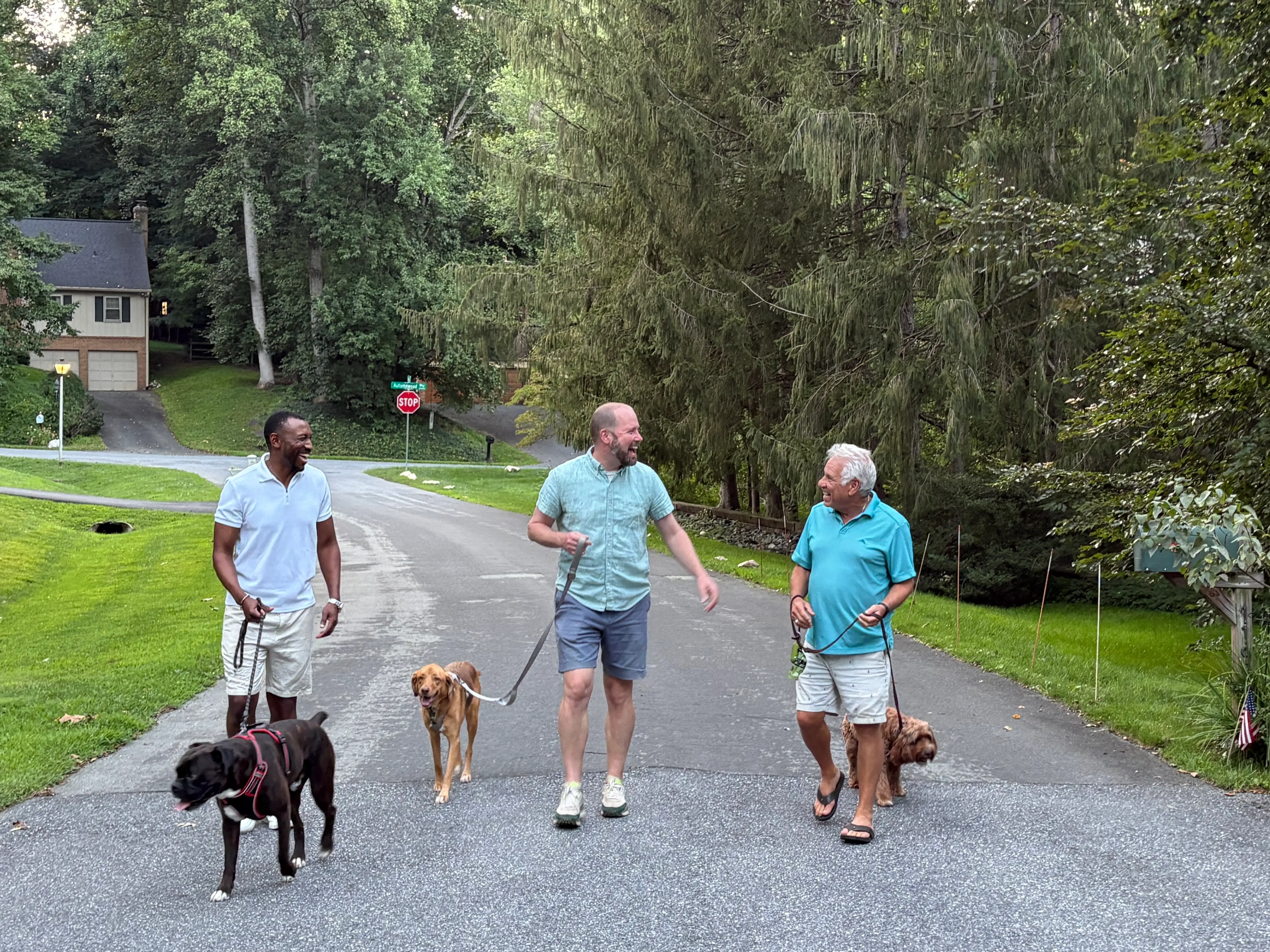 Three men walking dogs side by side and laughing.