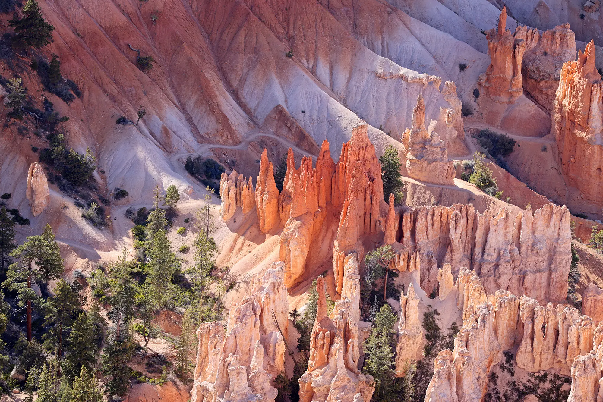 Fairyland Canyon in Bryce Canyon National Park.