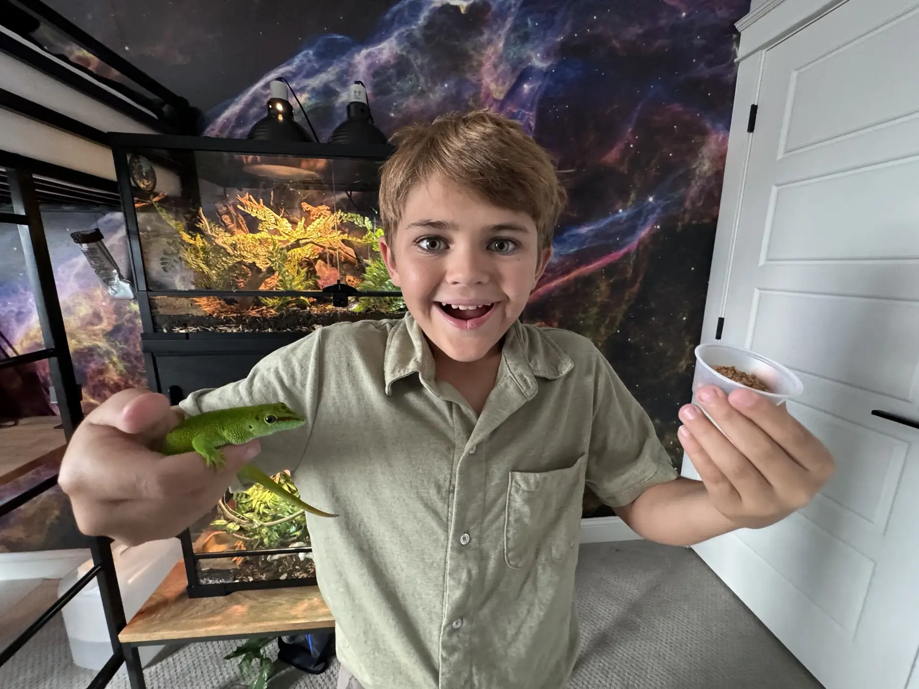 Kid smiling with geckos with tanks behind him