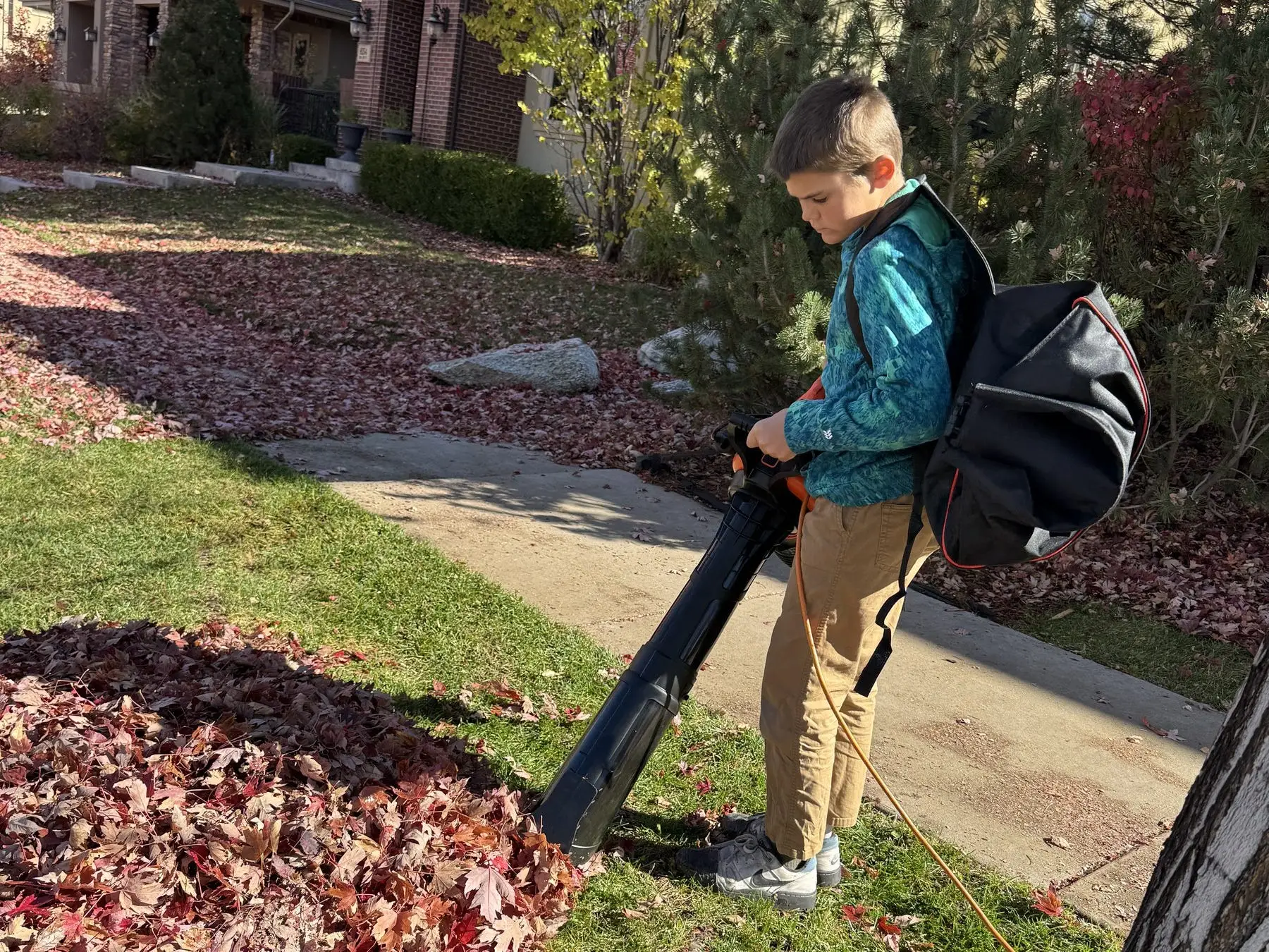 Kid blowing leaves