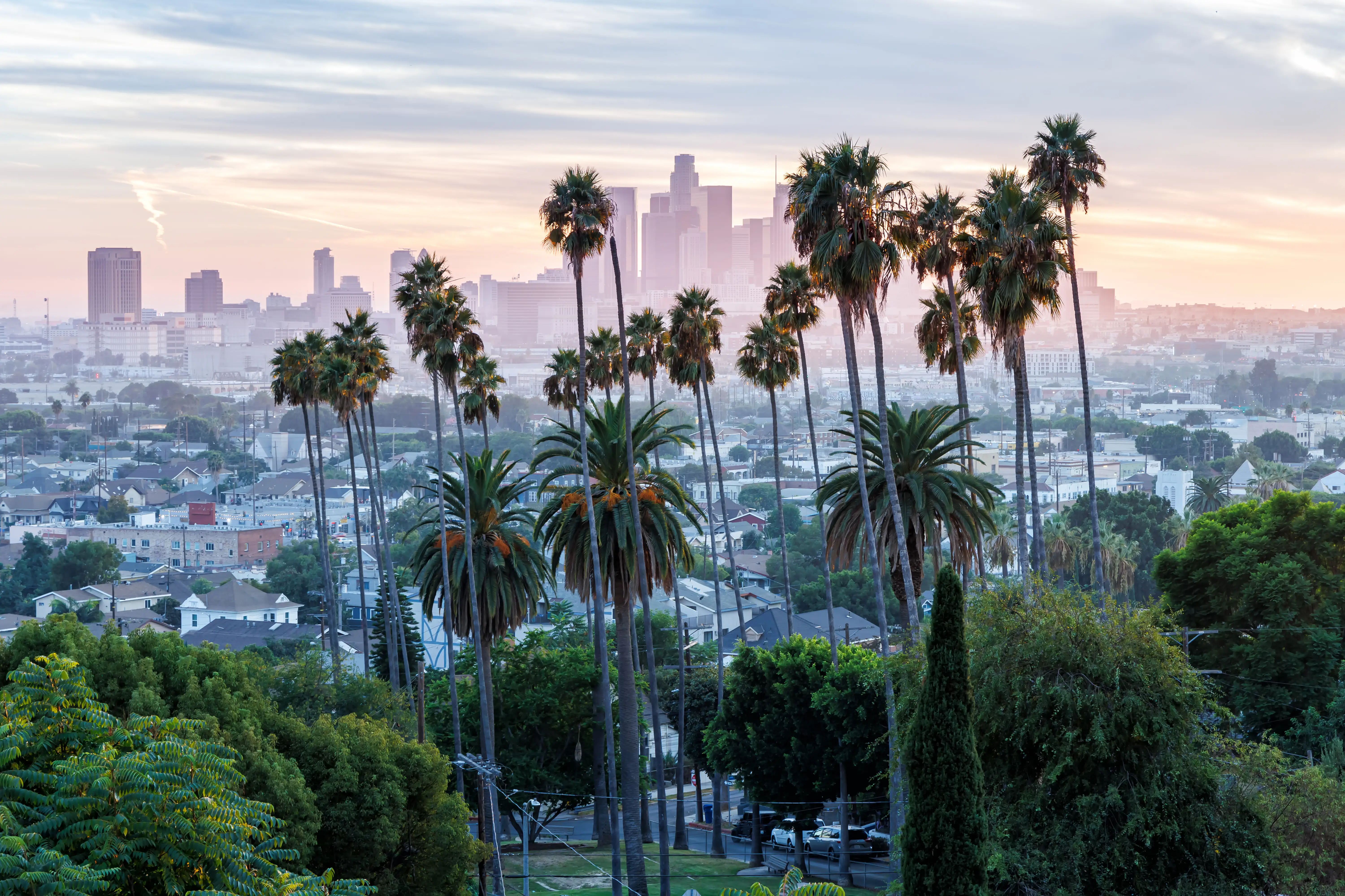 Tall palm trees frame a hazy Downtown Los Angeles skyline at sunrise above residential neighborhoods.