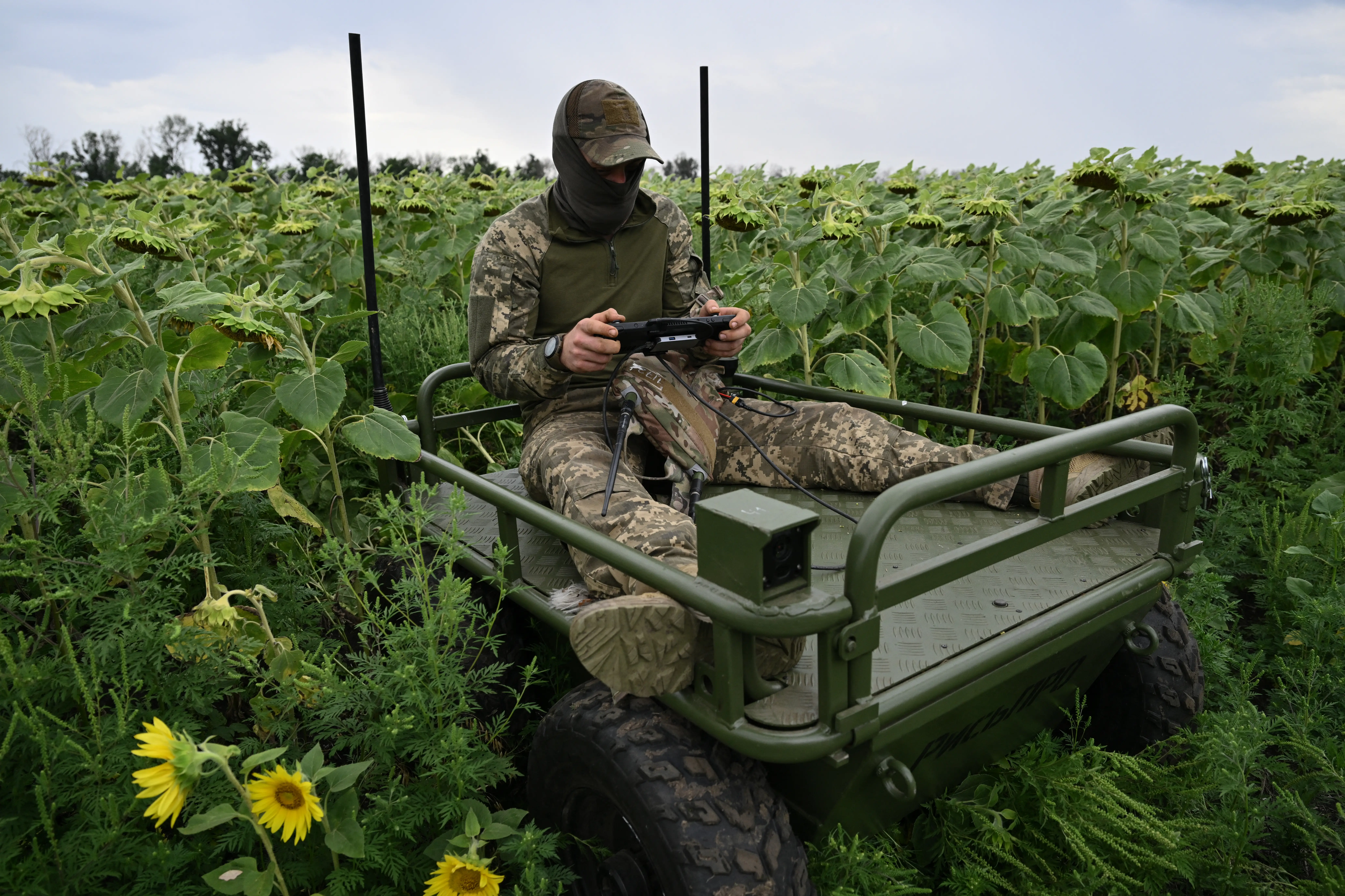 Camouflaged operator uses a handheld controller while seated on a green off-road vehicle in a sunflower field.