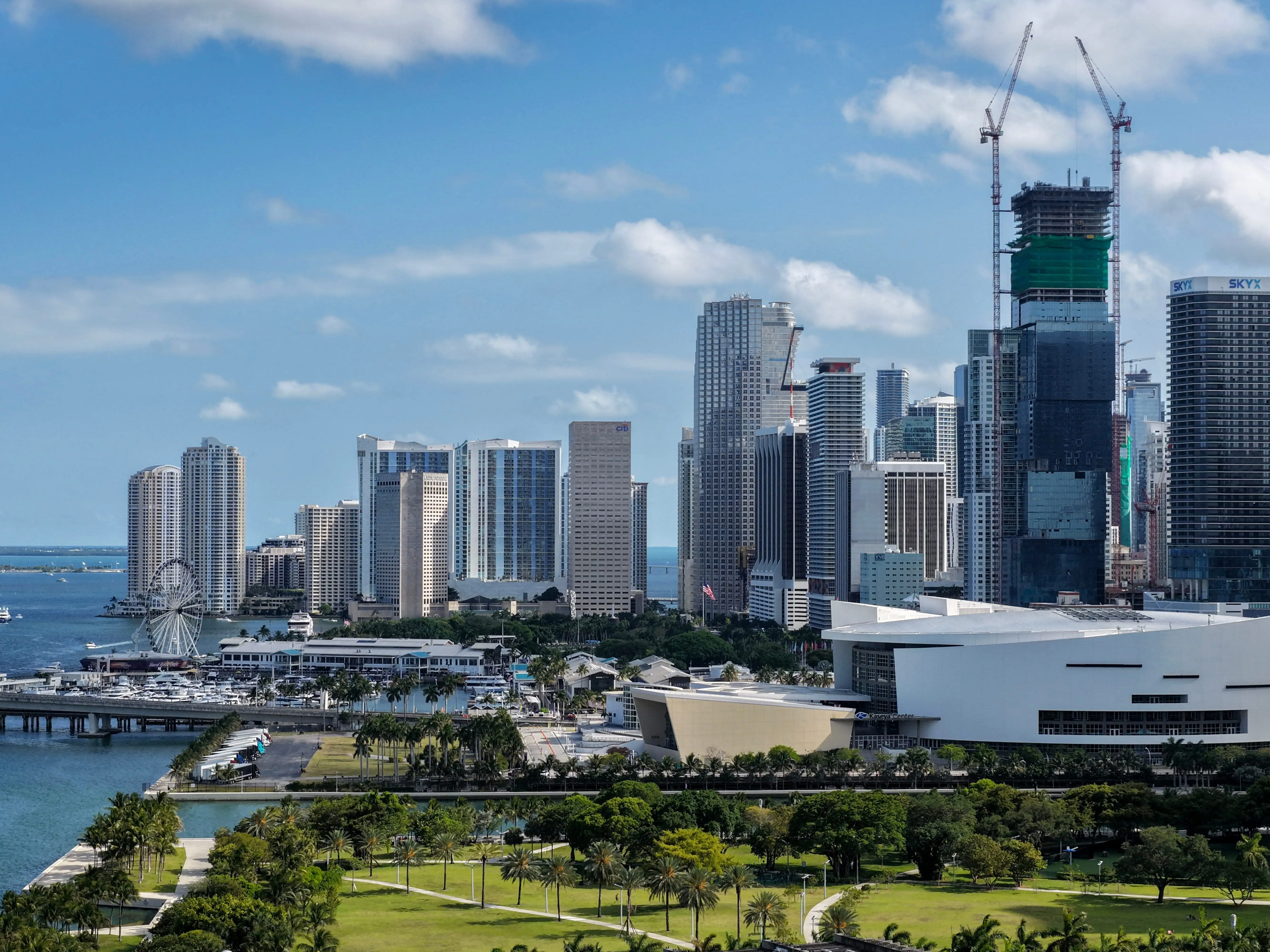 A photo of the Miami, Florida, skyline with greenery in the forefront and the ocean in the background.