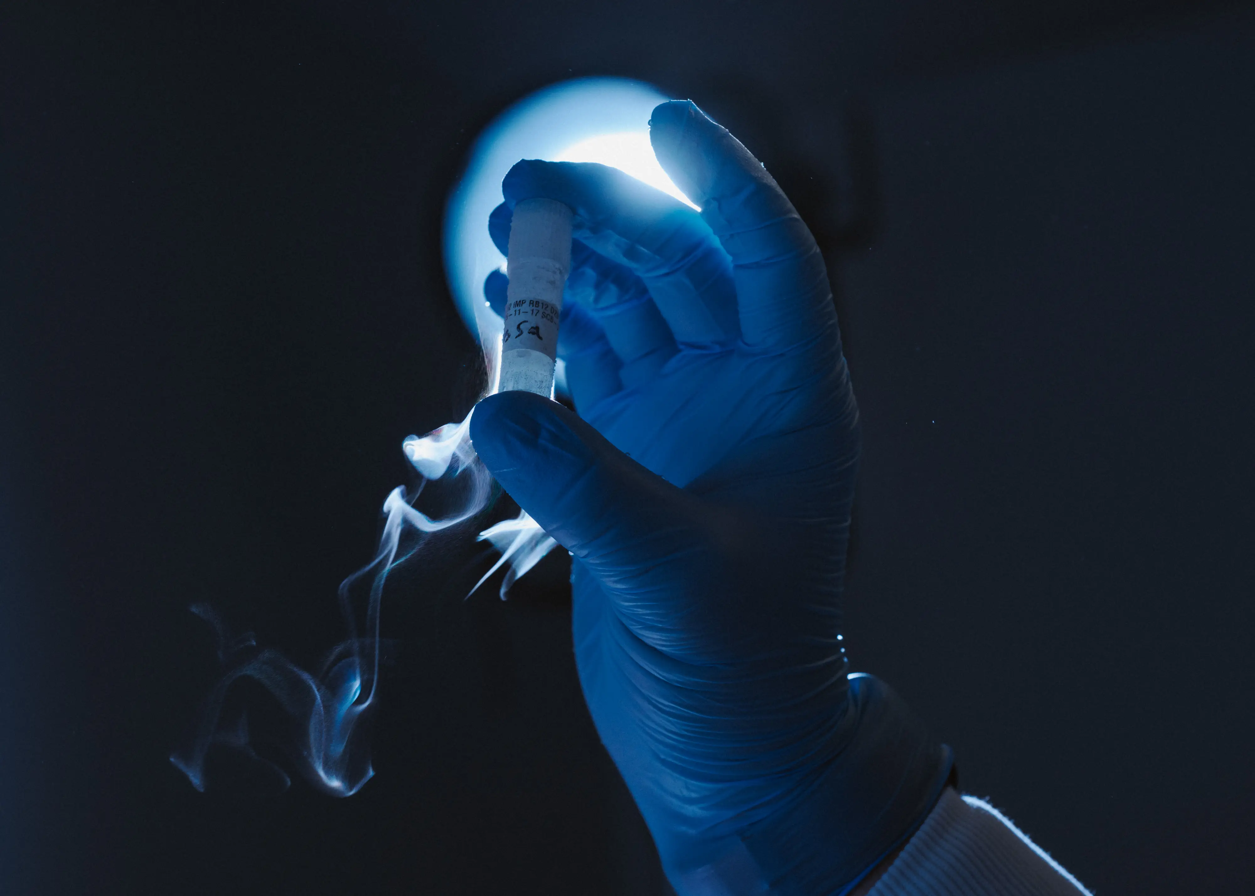 autophagy drug
