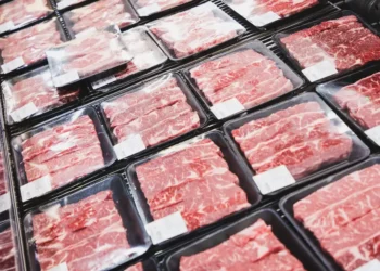 What is a ‘meat proxy’? The new term for coworkers who blindly share AI output