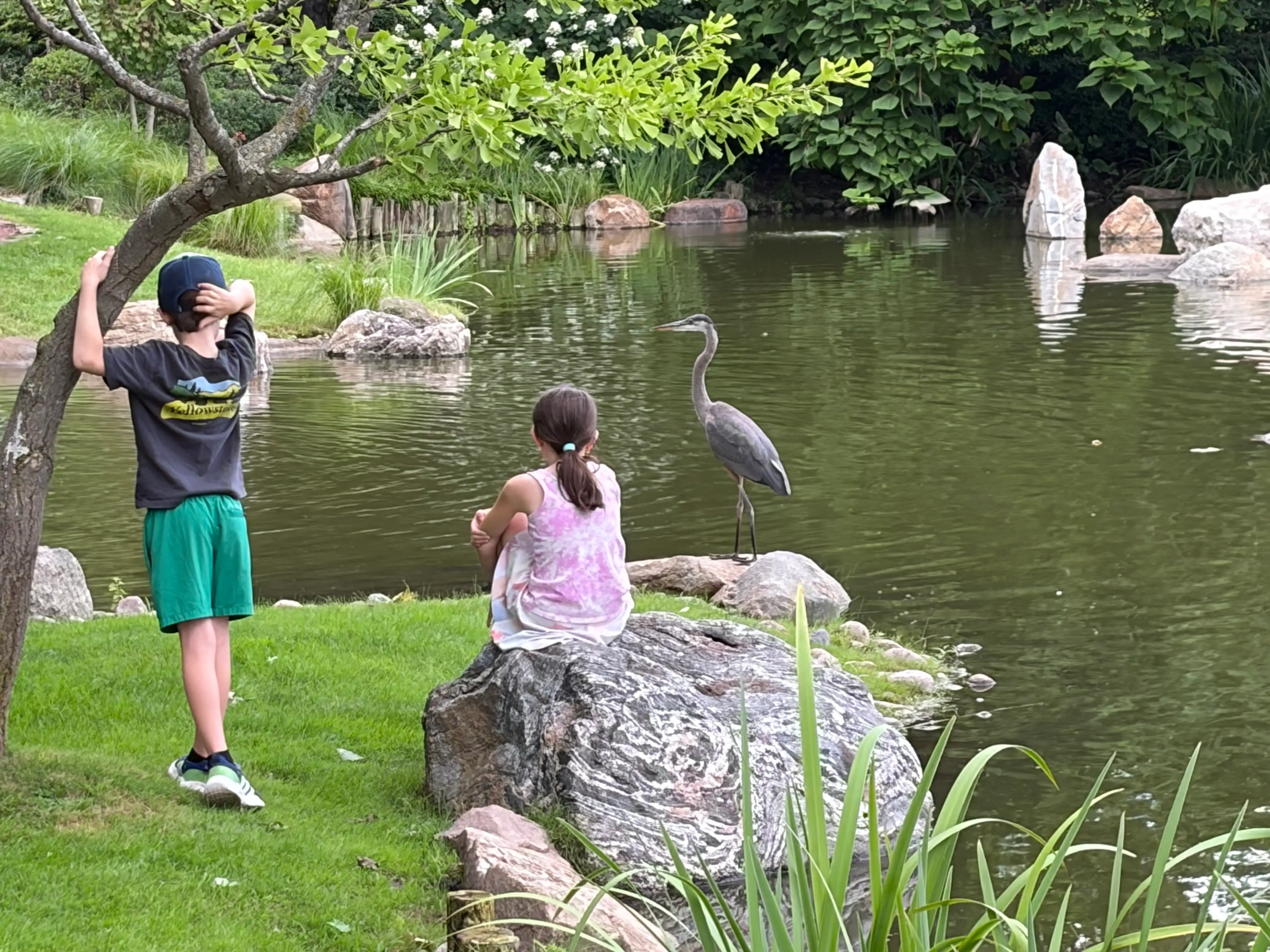 Garden of the Phoenix on Wooded Island within Jackson Park in Chicago.
