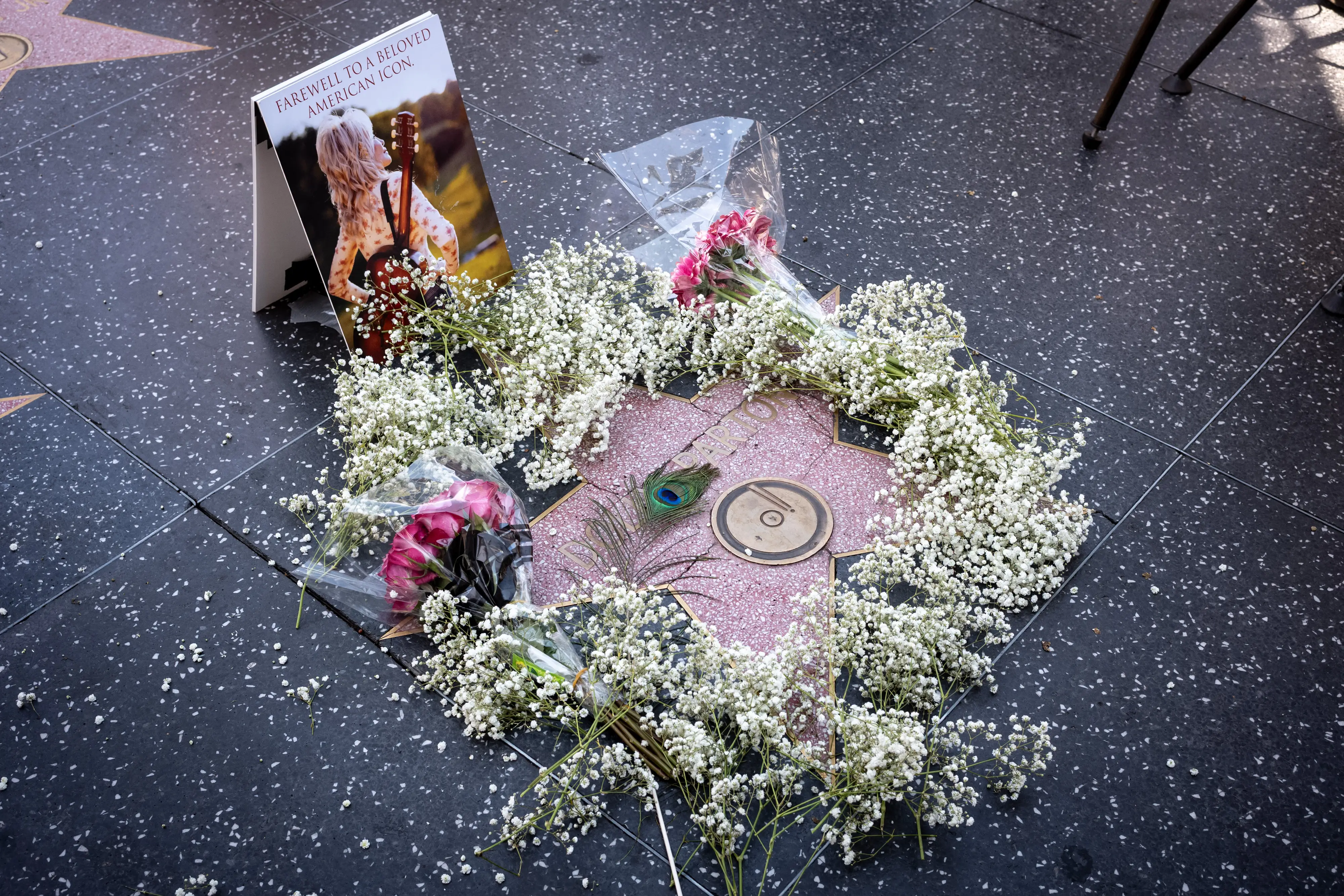 Dolly Parton's star on the Hollywood Walk of Fame.