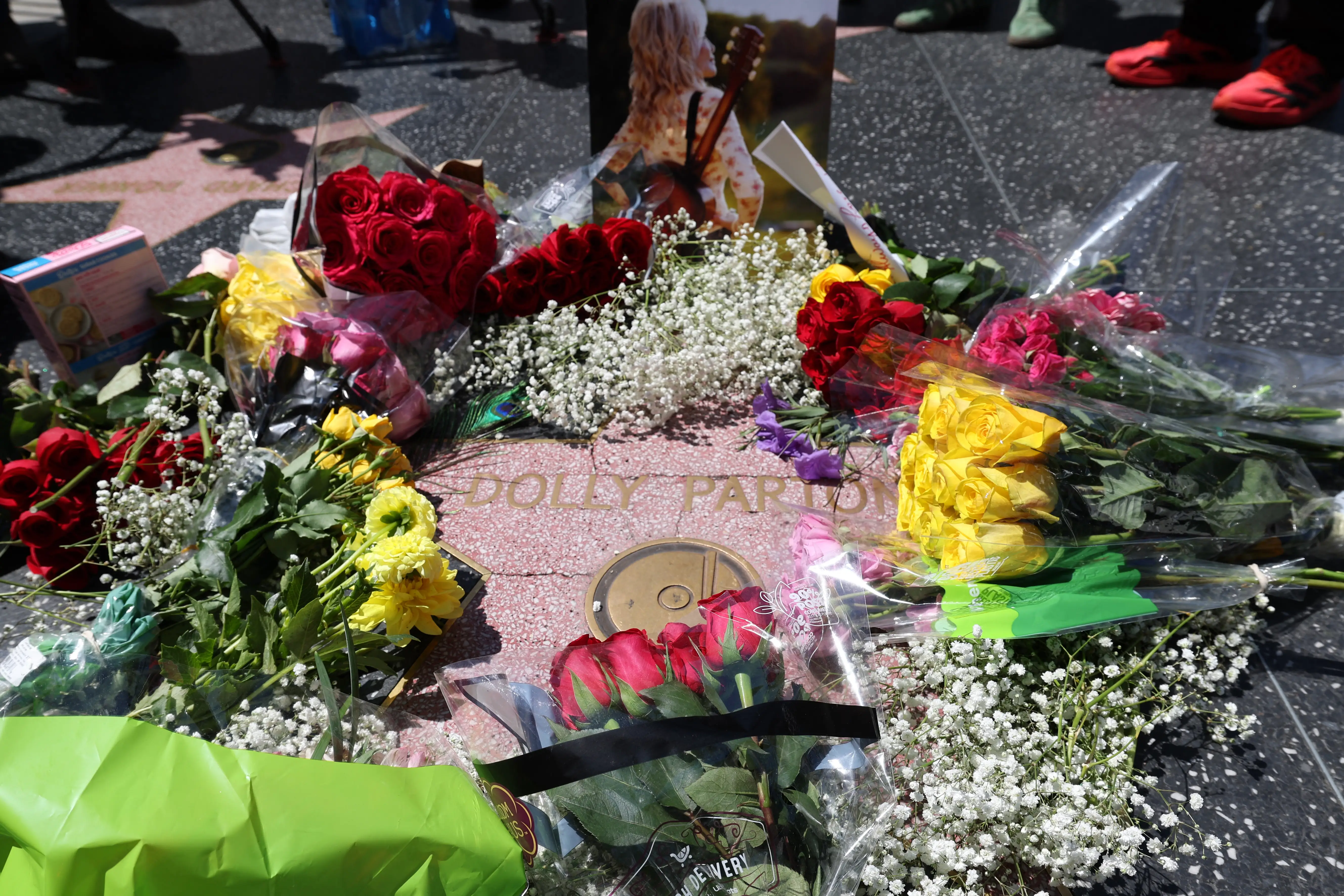 Dolly Parton's Hollywood Walk of Fame star.
