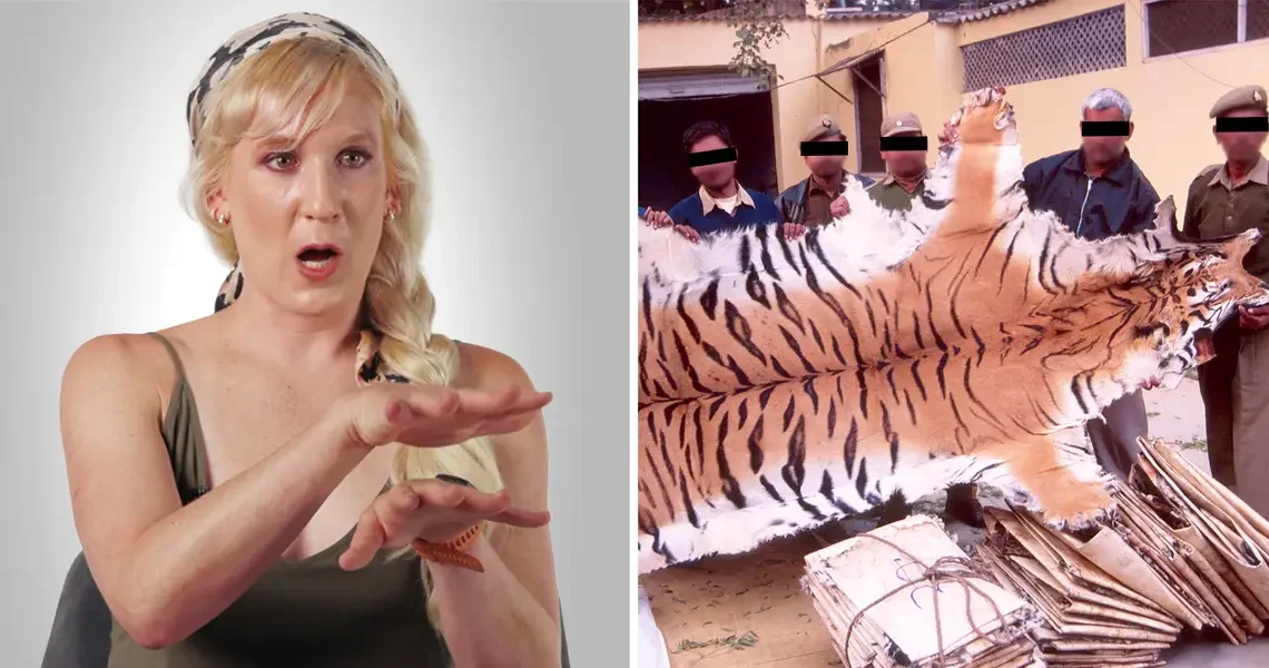How illegal wildlife poaching actually works, according to an undercover investigator