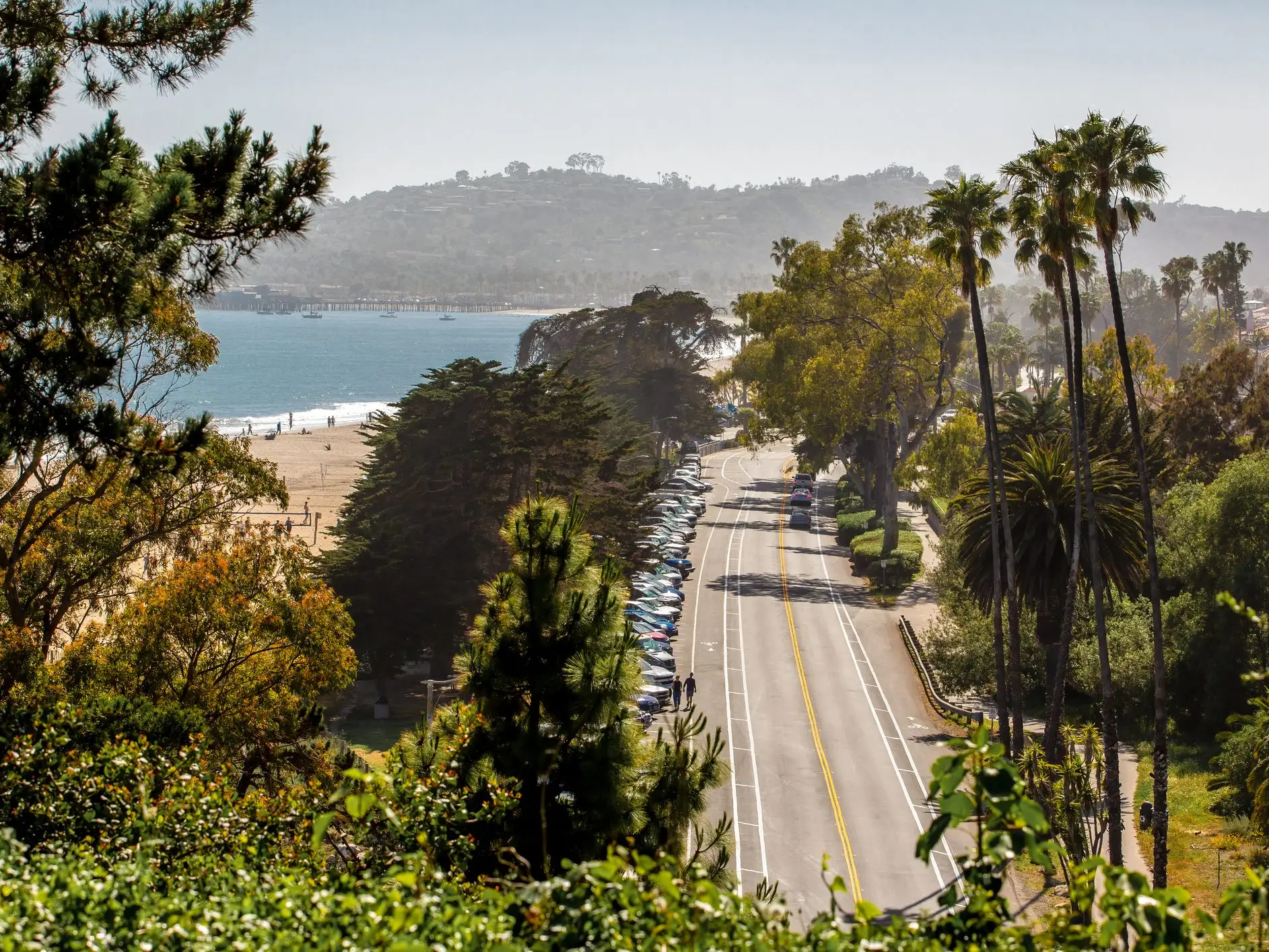 Palm-lined coastal road runs beside a beach and ocean with hills and a pier in the distance.