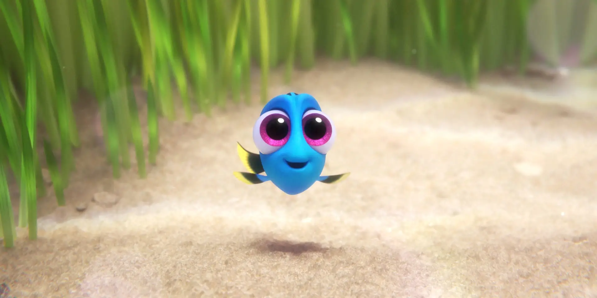 Finding Dory