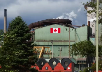 Mountie bears and battle-ready beavers star in a viral AI-made Canadian trade-war anthem