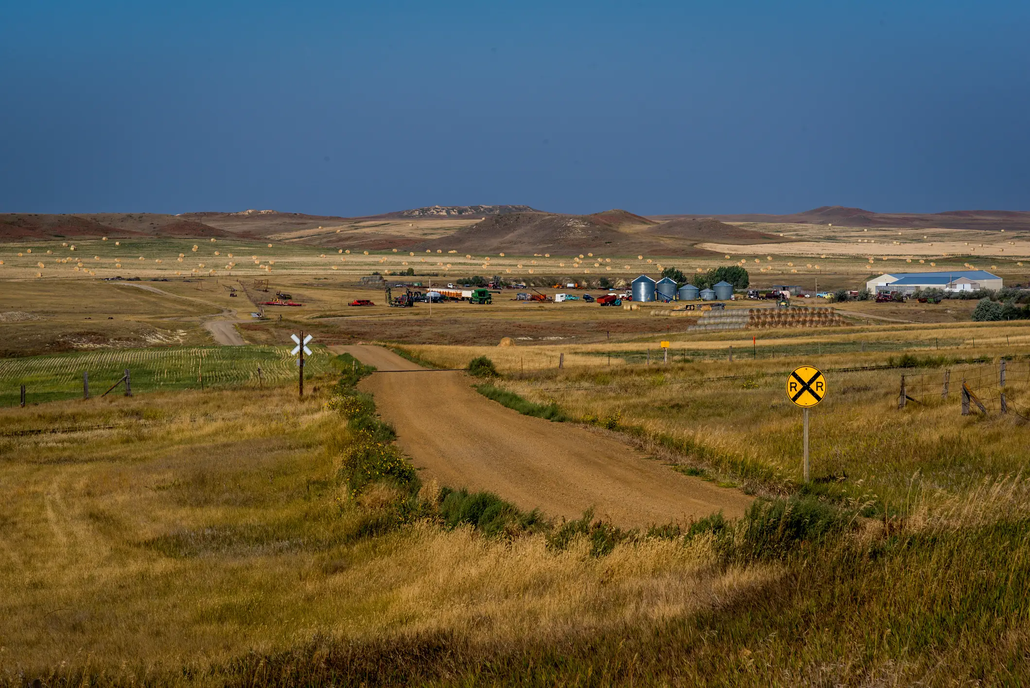 Wolf Point, Montana.