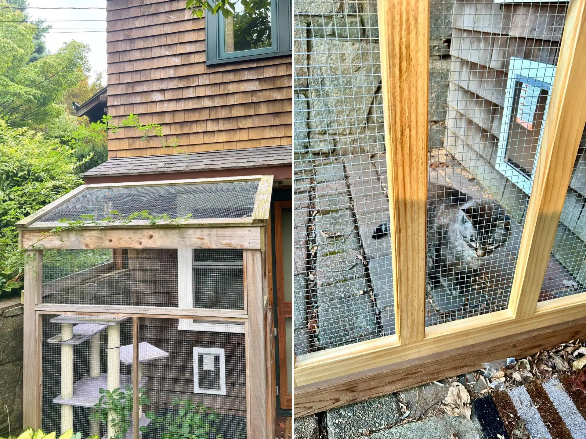 A collage of the catio.