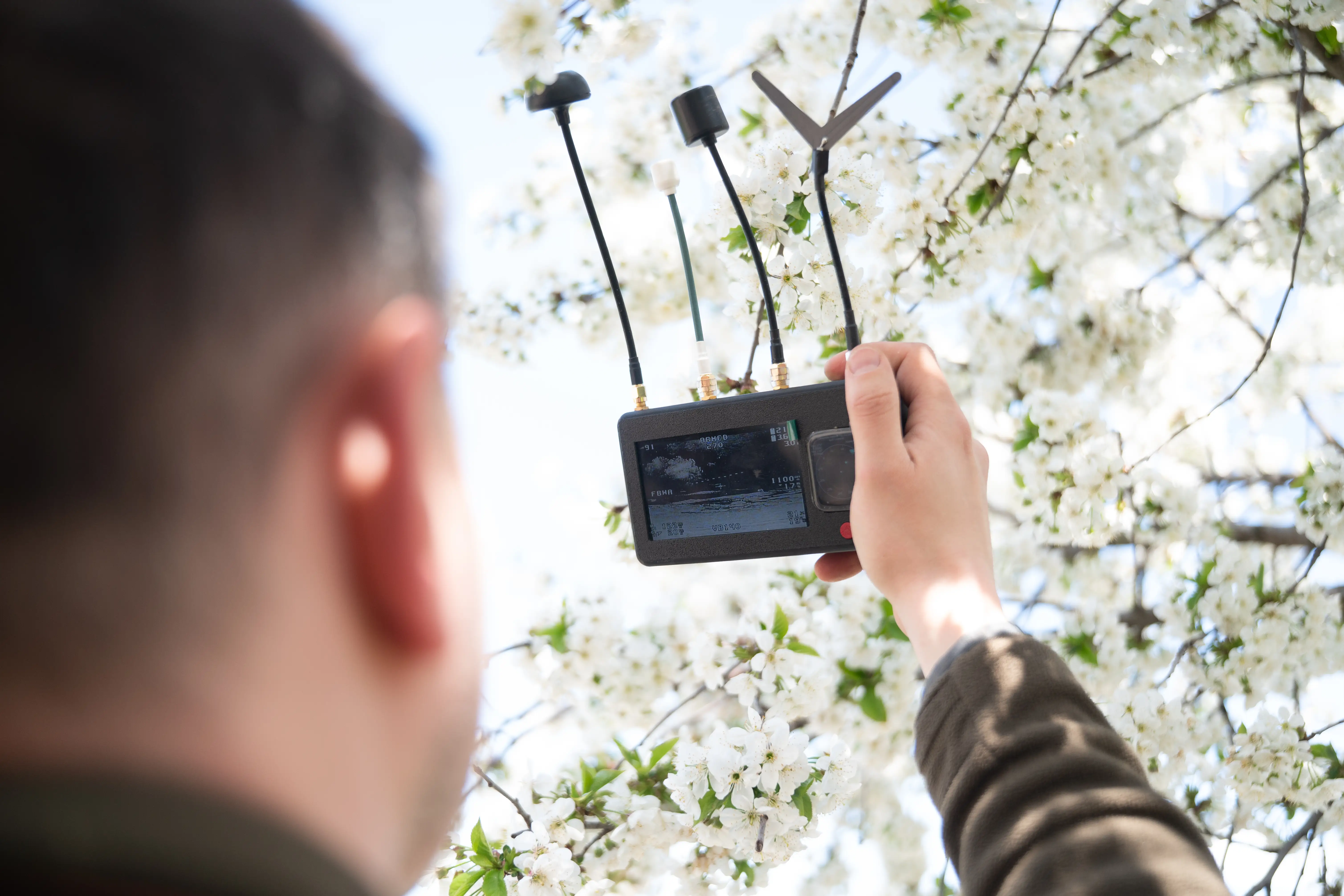 Person holds a handheld wireless controller with antennas beside white blossoms on a tree.
