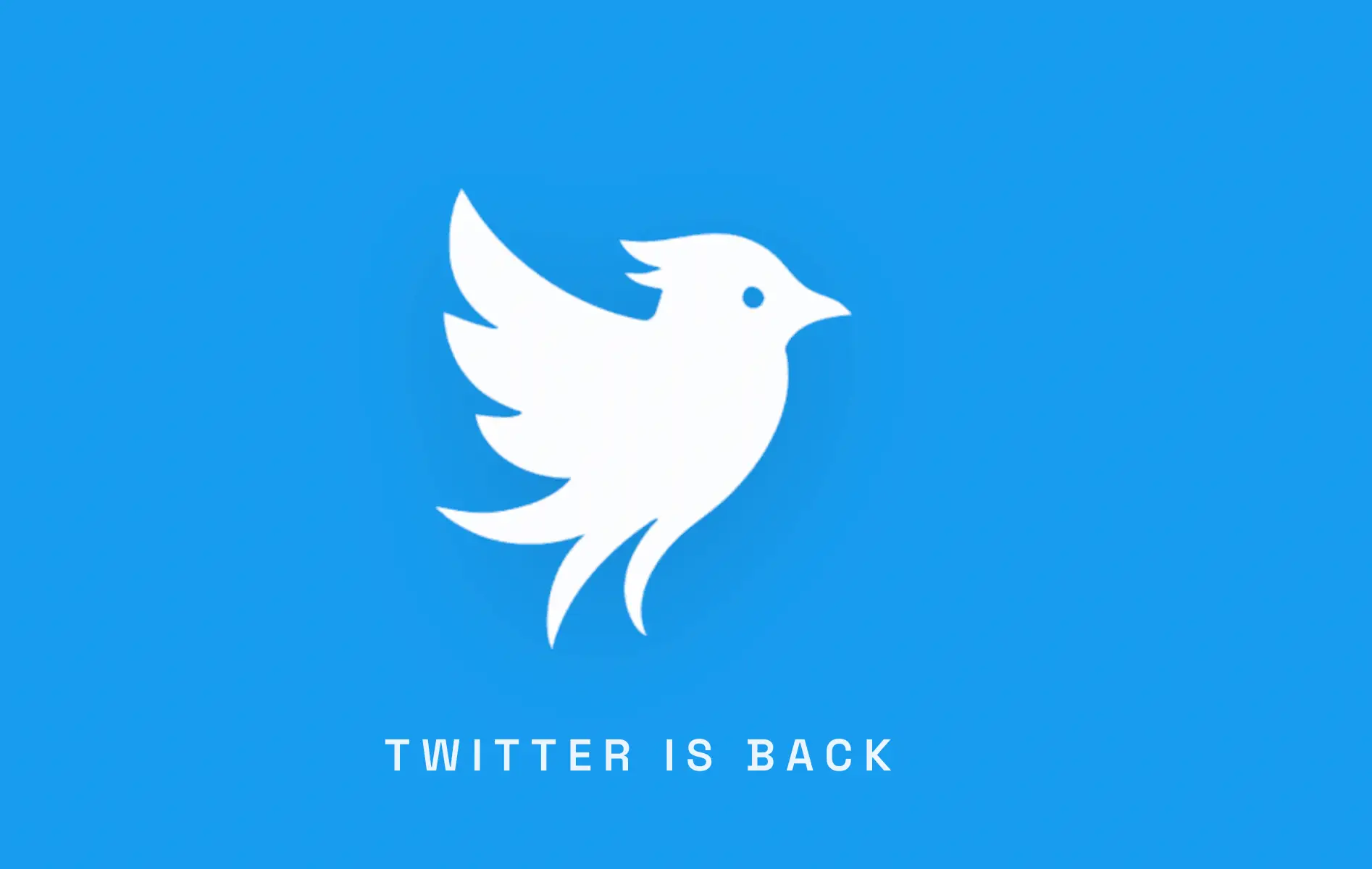 Stephen Coates launched Twitter.now, a rival to Elon Musk's X with a different moderation approach.