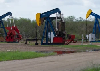 Trump said the US government has reached a deal to secure 65 billion barrels of oil reserves in Venezuela