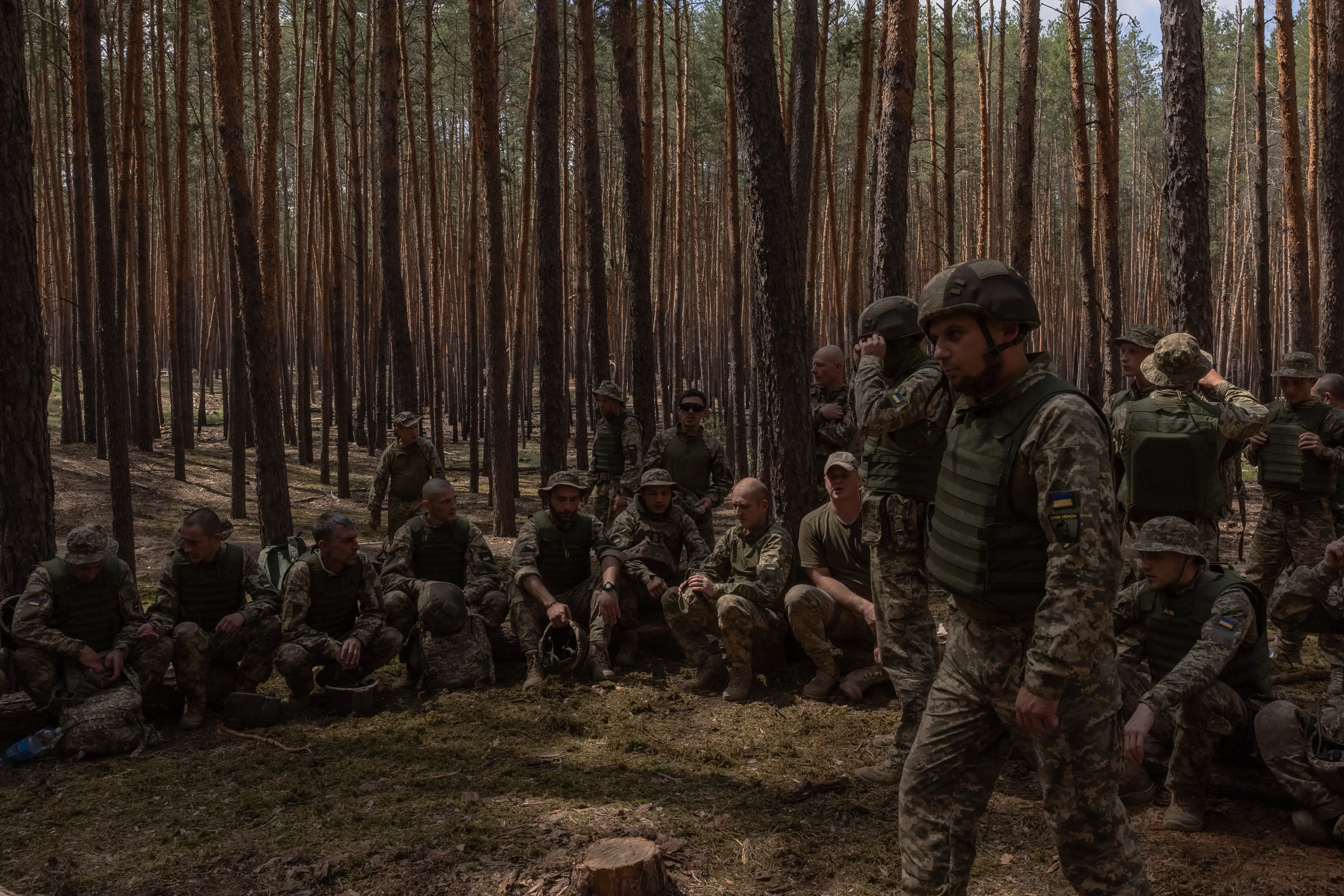 Uniformed soldiers gather among tall pine trees in a shaded forest military setting.