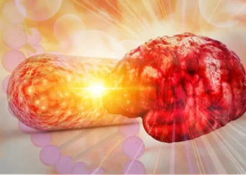There’s a New Link Between Gut Health and Alzheimer’s Disease