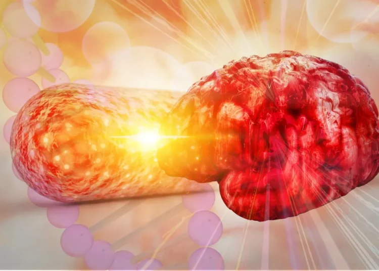 There’s a New Link Between Gut Health and Alzheimer’s Disease