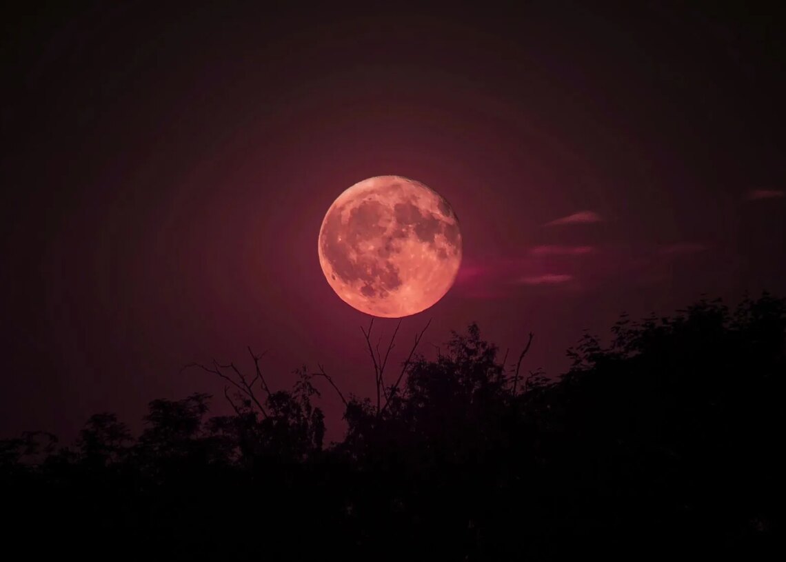 A Blood Moon Is Coming This Week: Here’s When and How to See It