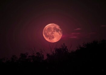 A Blood Moon Is Coming This Week: Here’s When and How to See It