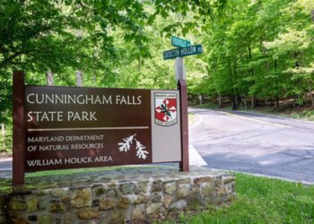 Maryland Park Forced to Close After Two Rabid Beaver Attacks