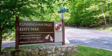 Maryland Park Forced to Close After Two Rabid Beaver Attacks