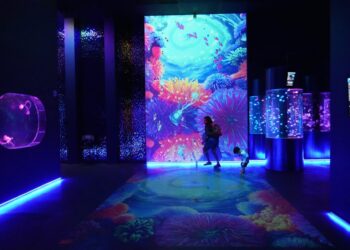 First jellyfish museum in the United States opens in Florida