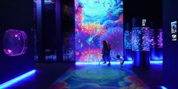 First jellyfish museum in the United States opens in Florida