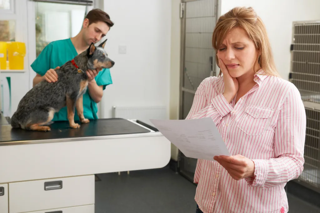 A worried woman holding a bill at a vet's office while a veterinarian examines her dog.