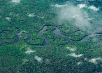 Archaeologists Used Lasers to Reveal Hundreds of Ancient Structures Hidden Beneath the Amazon Rainforest