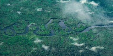 Archaeologists Used Lasers to Reveal Hundreds of Ancient Structures Hidden Beneath the Amazon Rainforest