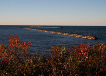 Trump says U.S. could rename Lake Ontario as Lake America amid Canada trade war