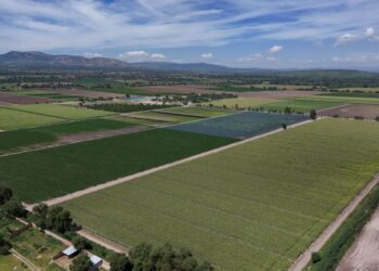 FDA travels to Mexico a month after linking Taylor Farms to cyclospora outbreak