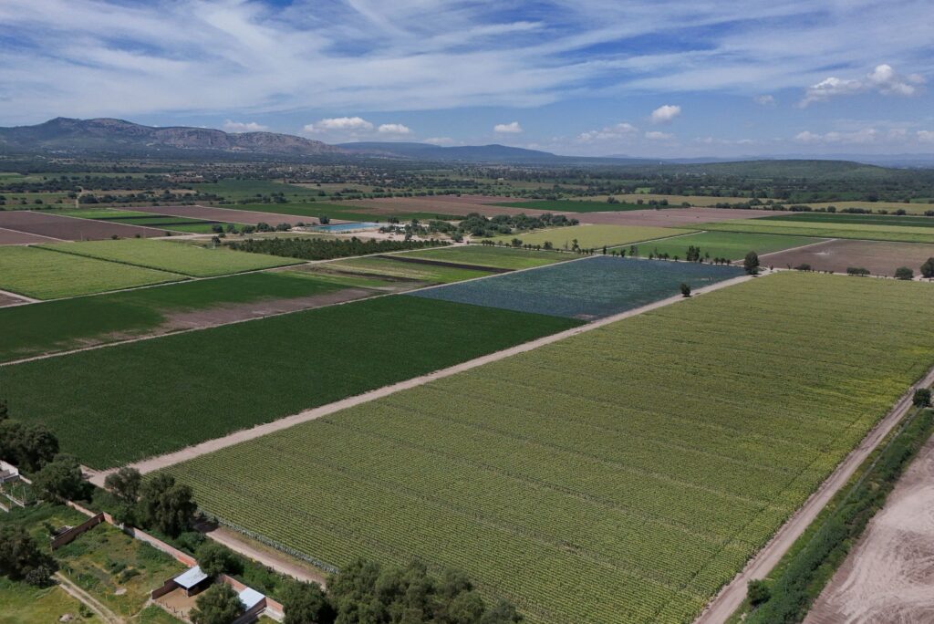 FDA travels to Mexico a month after linking Taylor Farms to cyclospora outbreak