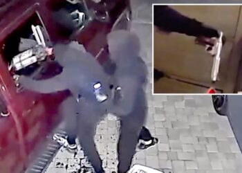 Young punks busted in insane serial armed robbery spree targeting 77 Bay Area homes and cars