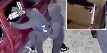 Young punks busted in insane serial armed robbery spree targeting 77 Bay Area homes and cars