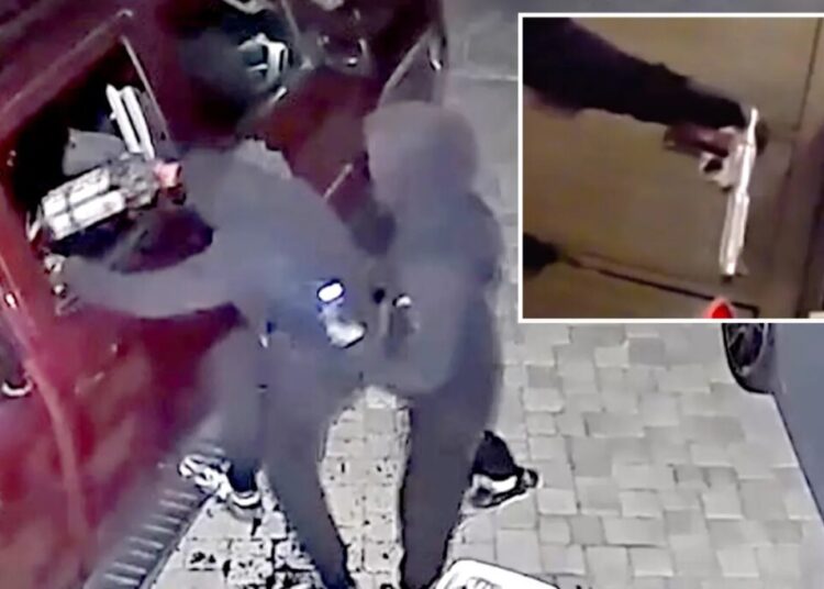 Young punks busted in insane serial armed robbery spree targeting 77 Bay Area homes and cars