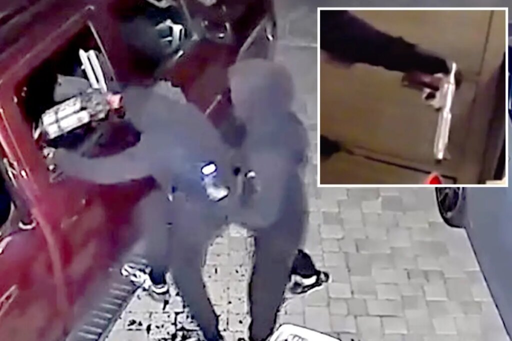 Young punks busted in insane serial armed robbery spree targeting 77 Bay Area homes and cars
