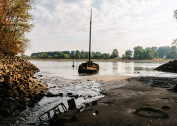 Drought Threatens a Vital Economic Artery in the Heart of Europe