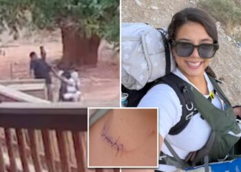 NYC mom violently slashed by ex-con during Arizona hiking trip: ‘I can’t die like this’