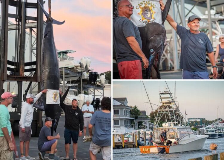 Fishermen stunned when they hooked this massive sea beast — believed to be the biggest of its kind caught on East Coast