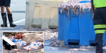20 tons of slimy squid spill on Rhode Island roadway — blanketing area in foul odor